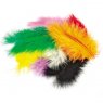 Decorative Feathers by Meyco / Mix Pack