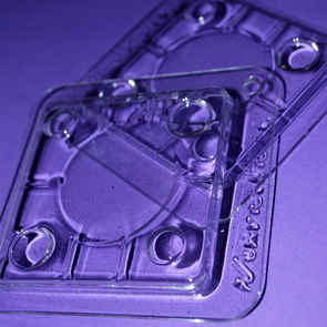 Lentil Mould / Set 1
