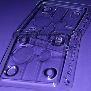 Lentil Mould / Set 2