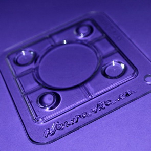 Backside to Lentil Mould / 1A