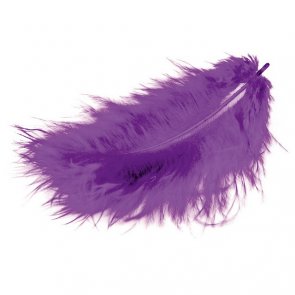 Decorative Feathers by Meyco / Pink