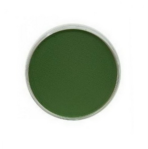PanPastel / Permanent Green Shade