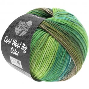 Cool Wool Big Color 100 g / no. 4002