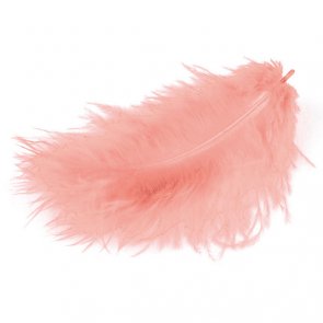 Decorative Feathers by Meyco / Light Pink
