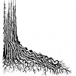Silikonové razítko / Lavinia / Tree Root