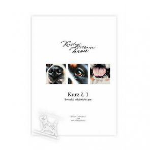 Tutorial Book / Nikol Charvátová / Bernese Mounting Dog