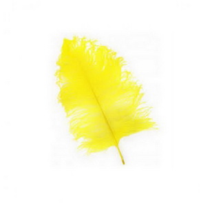 Decorative Feathers by Meyco / Lemon Yellow