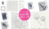 Special Offer for Clarity Stamp -15%